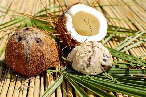 Understanding the Cultural and Historical Contexts of Coconuts as Dream Symbols