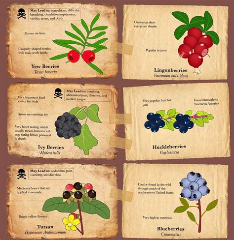 Understanding the Dangers: Levels of Toxicity in Fantasy Berries