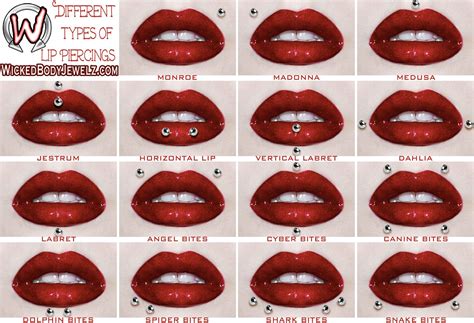 Understanding the Different Types of Lip Piercings