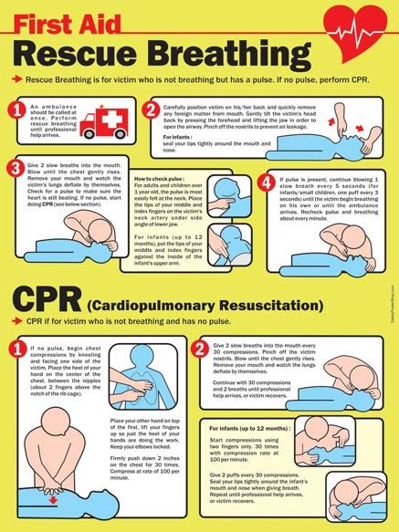 Understanding the Distinction between CPR and Rescue Breathing