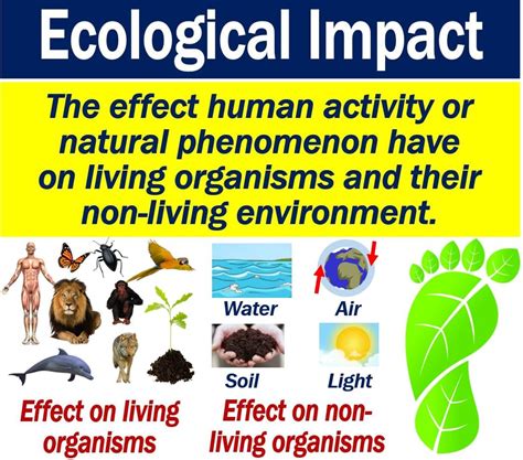 Understanding the Ecological Impact of Unoccupied Terrain