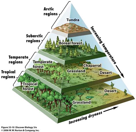 Understanding the Ecological Significance of High-altitude Rivers