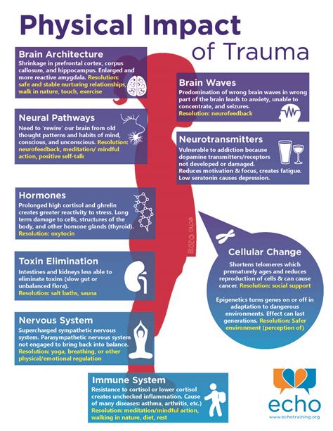 Understanding the Effect of Trauma on Dream Patterns