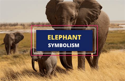 Understanding the Elephant as a Symbol