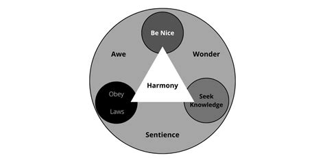 Understanding the Essence of Harmony