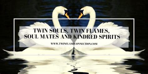 Understanding the Essence of Twin Kindred Spirits