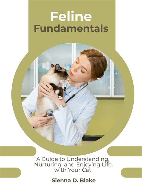 Understanding the Fundamentals of Feline Care