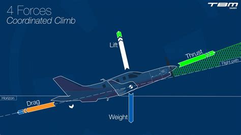 Understanding the Fundamentals of Flight