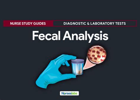 Understanding the Fundamentals of Infant Fecal Matter