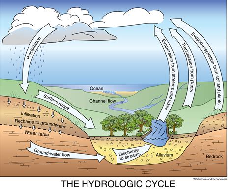 Understanding the Hydrological Cycle: Unveiling the Formation of Groundwater Springs