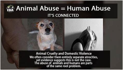 Understanding the Impact of Animal Cruelty on the Human Psyche