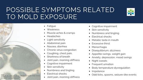 Understanding the Impact of Mold on the Skin