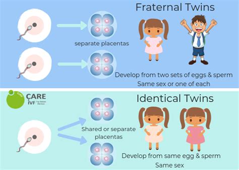 Understanding the Interrelationship between Twin Dream Experiences and Fertility