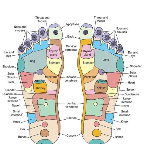 Understanding the Link Between Foot Massage and Reflexology