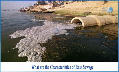 Understanding the Nightmare: What is Raw Sewage?