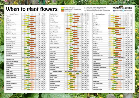 Understanding the Optimal Planting Time