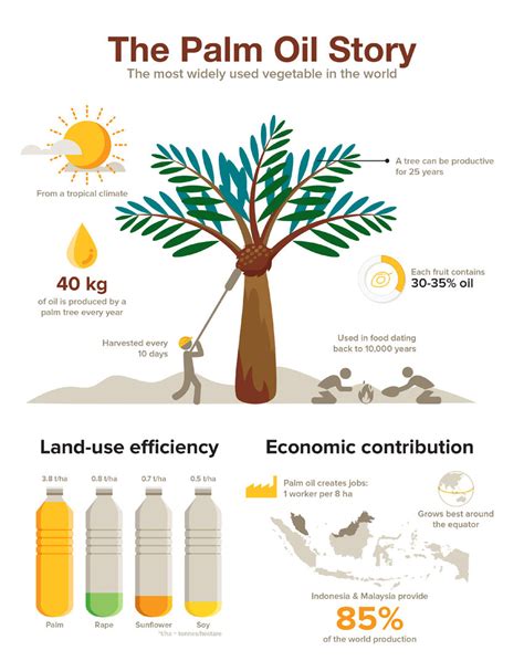 Understanding the Palm Oil Industry: Key Facts and Trends