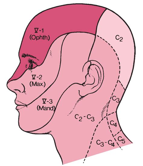 Understanding the Phenomenon: Numbness in Facial Sensation during Sleep