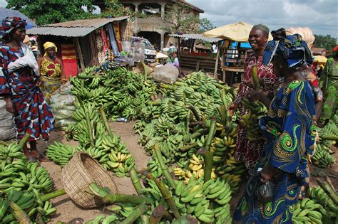 Understanding the Plantain Market