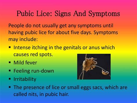 Understanding the Presence of Pubic Lice: An Insight into the Prevalence