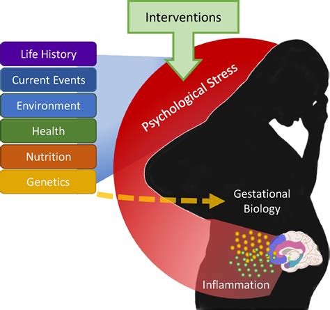 Understanding the Psychological Impact of Maternal Discord in Dreamscapes