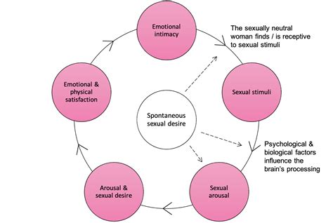 Understanding the Psychology of Sexual Desires