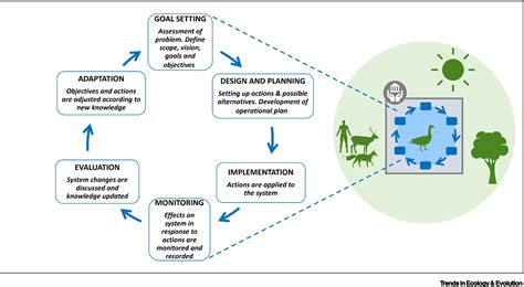 Understanding the Reality: Overcoming Obstacles and Reaping Benefits of Managing a Miniature Wildlife Haven