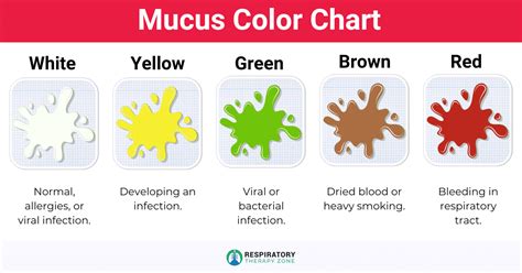 Understanding the Reasons behind the Appearance of Yellow Mucus