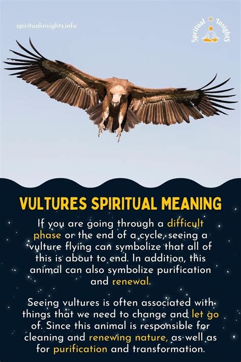 Understanding the Responses and Reactions to a Vulture's Presence Inside a Home