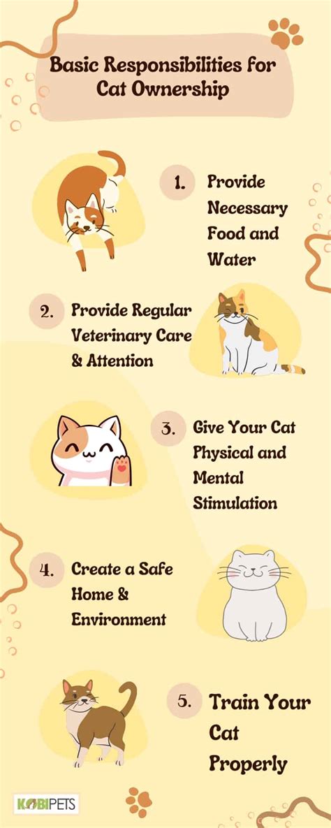 Understanding the Responsibilities of Cat Ownership