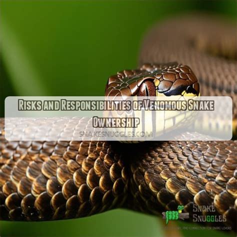 Understanding the Responsibilities of Snake Ownership