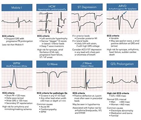 Understanding the Results: Identifying Potential Abnormalities