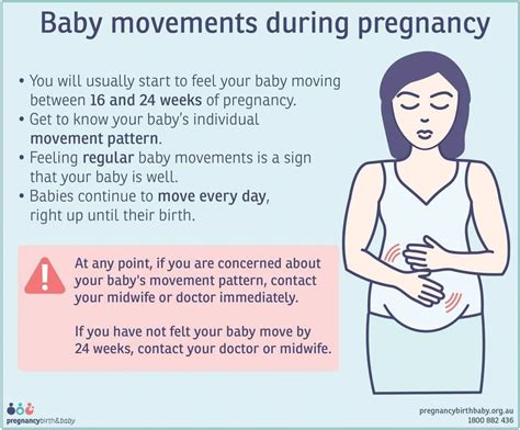 Understanding the Science Behind Fetal Movements in the Womb