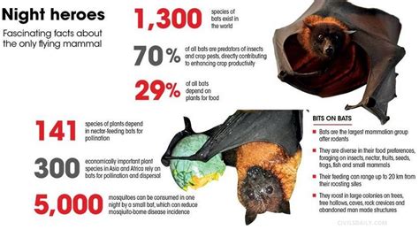 Understanding the Significance of Bats in Ecosystems