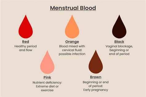 Understanding the Significance of Different Colors in Menstrual Stains