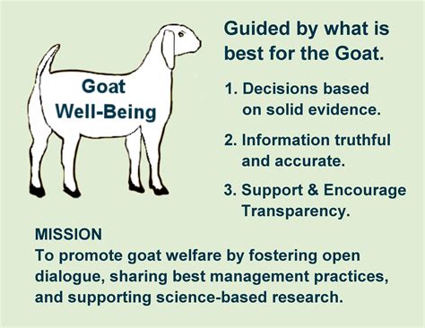 Understanding the Significance of Illness in Visioning Goats