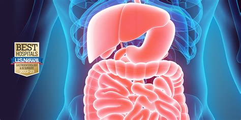 Understanding the Significance of Optimal Digestive Health