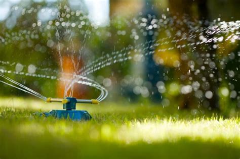 Understanding the Significance of Proper Irrigation for Your Lawn