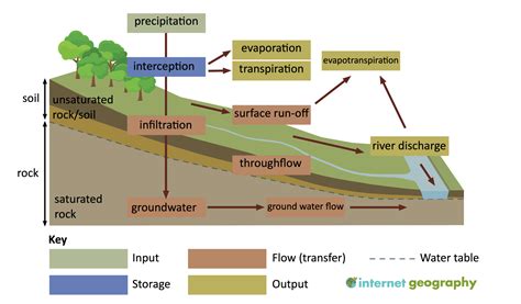 Understanding the Significance of Various Water Levels in a Basin Vision