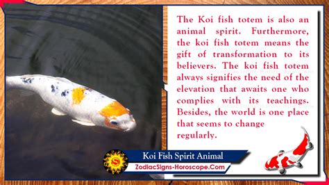 Understanding the Significance of Your Dreams Featuring Pure Koi Fish