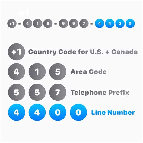 Understanding the Significance of a Contact Number