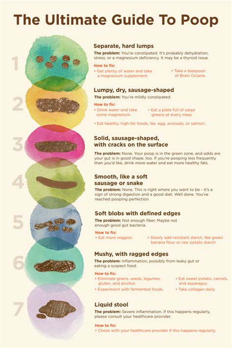 Understanding the Significance of a Heap of Excrement: Insightful Analysis