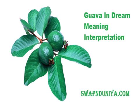 Understanding the Spiritual Connection of White Guavas in Dream Interpretation