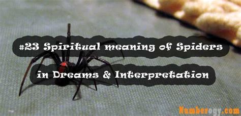 Understanding the Spiritual Significance of Expectant Arachnids in Dream Analysis