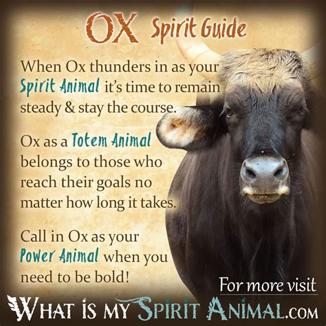 Understanding the Spiritual Symbolism of the Mighty Ox