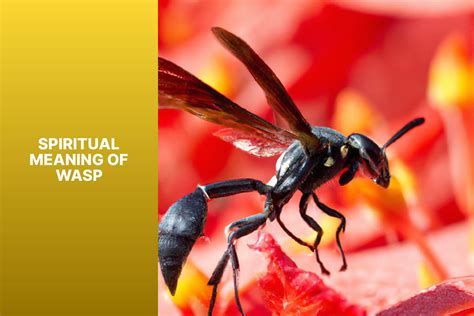 Understanding the Subconscious: Unveiling the Significance of Wasp Pursuits and Concealed Anxiety in Everyday Life