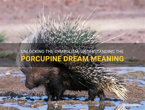 Understanding the Symbolism Behind a Porcupine Chasing Dream