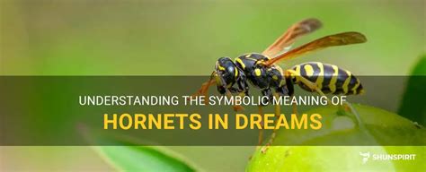 Understanding the Symbolism of Hornet Dreams