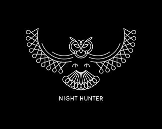 Understanding the Symbolism of Pursuit by a Wise Night Hunter