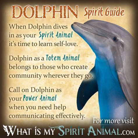 Understanding the Transcendent Nature of Dolphins and their Spiritual Significance